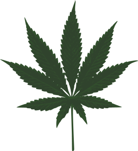 Cannabis löv